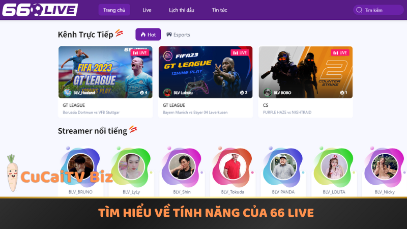 Tìm hiểu về tính năng nổi bật của 66 Live tại Củ Cải TV