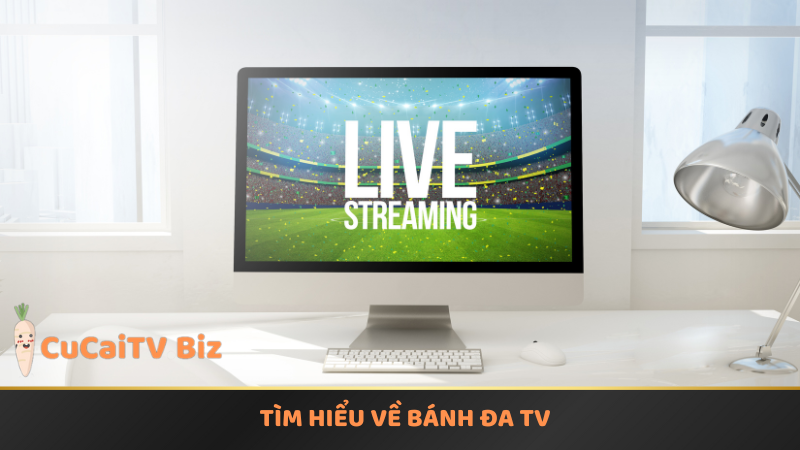 Tìm hiểu về Bánh Đa TV