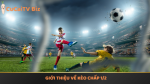 Giới thiệu về kèo chấp 1/2