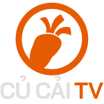 CuCaiTV © Trực tiếp bóng đá số 1 Việt Nam Củ Cải TV